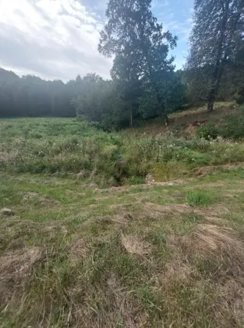 Pronájem rybníku, Komárovice, 9025 m2