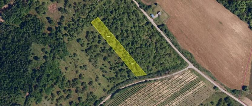 Pronájem zahrady, Dolní Kounice, 2459 m2