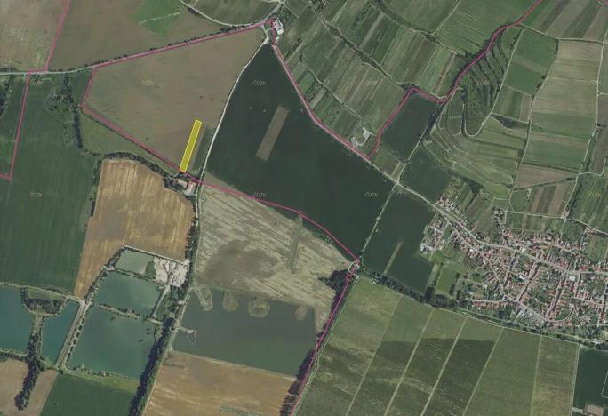 Prodej podílu pole, Přítluky, 5354 m2
