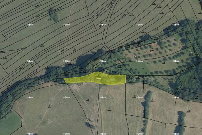 Prodej pole, Brumov-Bylnice, 18337 m2