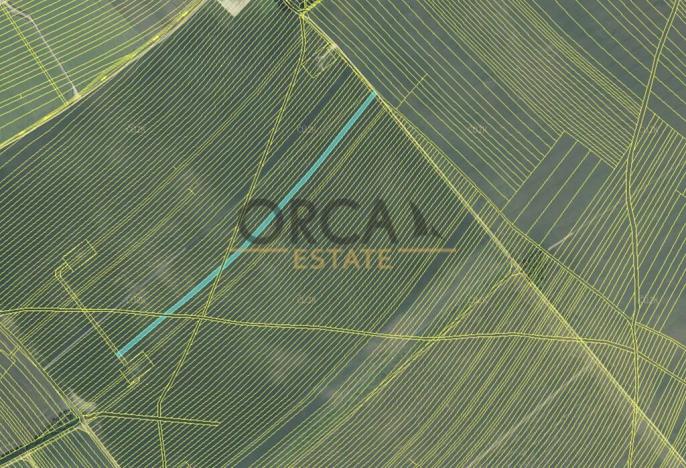 Prodej pole, Moravská Nová Ves, 7471 m2