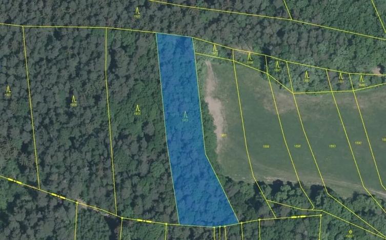 Dražba lesa, Luhačovice, 3417 m2