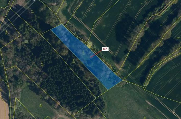 Dražba lesa, Olešná, 2967 m2