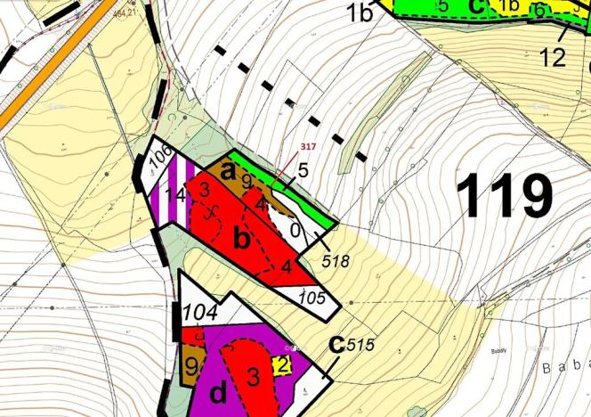 Dražba lesa, Olešná, 2967 m2
