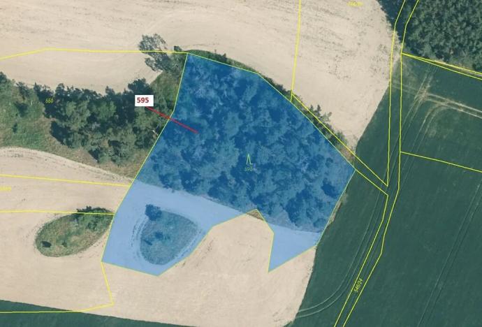 Dražba lesa, Manětín, 4801 m2