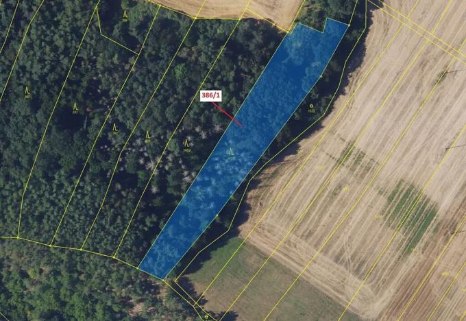 Dražba lesa, Žďárec, 4395 m2