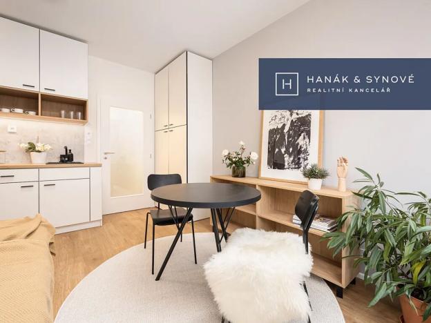 Pronájem bytu 1+kk, Brno, Cejl, 31 m2