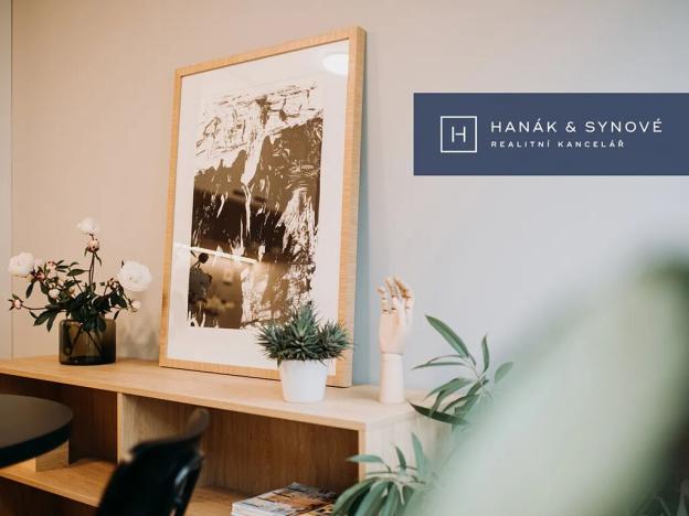 Pronájem bytu 1+kk, Brno, Cejl, 31 m2