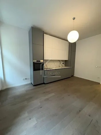 Pronájem bytu 3+kk, Praha - Vinohrady, Třebízského, 98 m2