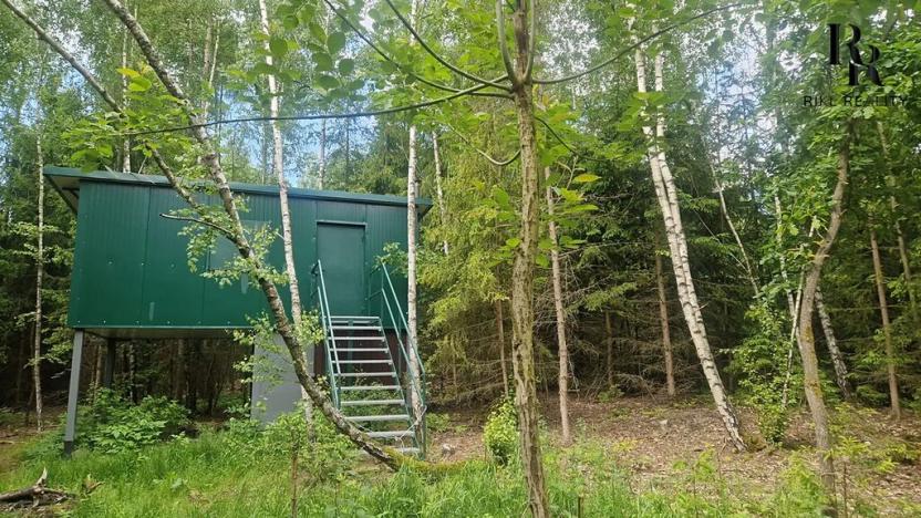 Prodej lesa, Hlubočky, 6680 m2