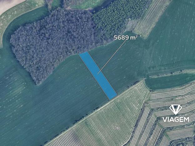 Prodej podílu pole, Těšany, 355 m2