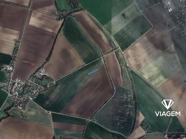 Prodej pole, Třibřichy, 2990 m2