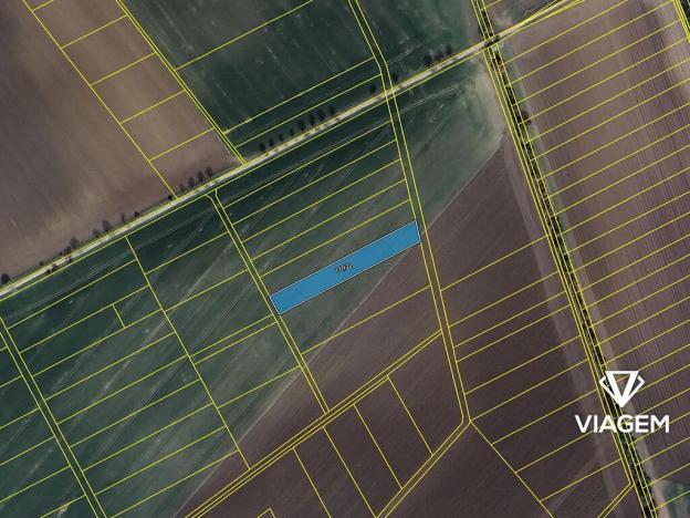 Prodej pole, Třibřichy, 2990 m2