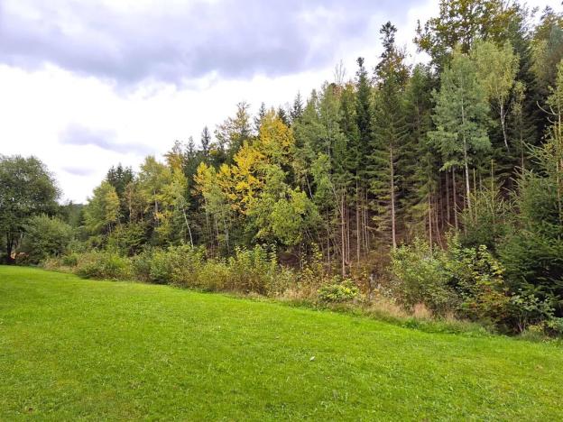 Prodej bytu 2+1, Bayerisch Eisenstein, Německo, Bahnhofstraße, 53 m2