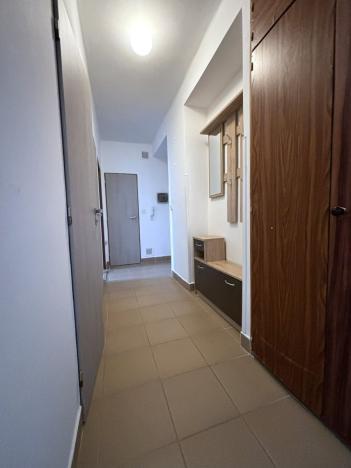 Pronájem bytu 2+1, Plzeň - Východní Předměstí, U Prazdroje, 52 m2