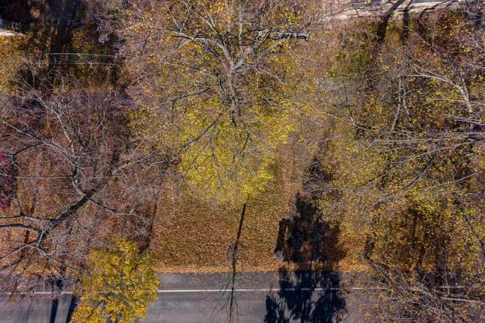 Prodej pozemku pro bydlení, Olomouc, Selské nám., 1038 m2