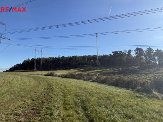 Prodej louky, Nečín, 16453 m2