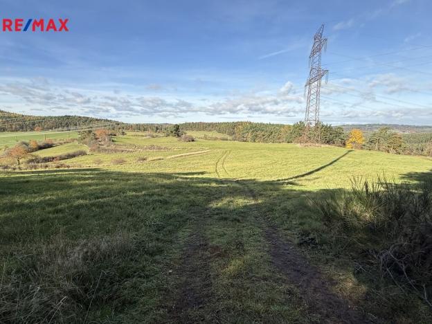 Prodej louky, Nečín, 16453 m2