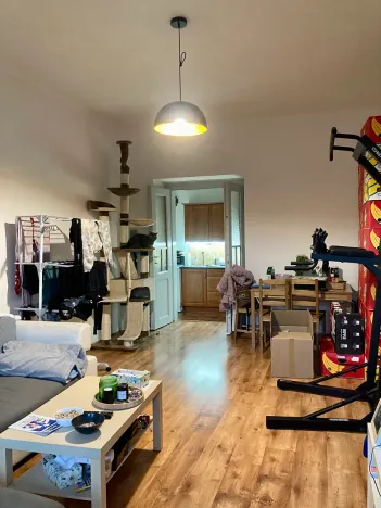 Pronájem bytu 2+kk, Praha - Košíře, Vrchlického, 50 m2