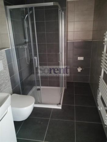 Pronájem bytu 3+kk, České Budějovice - České Budějovice 5, Fr. Škroupa, 66 m2