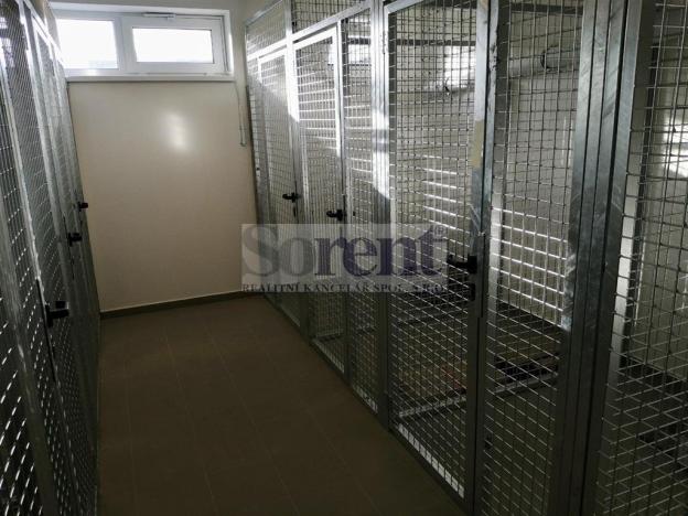 Pronájem bytu 3+kk, České Budějovice - České Budějovice 5, Fr. Škroupa, 66 m2