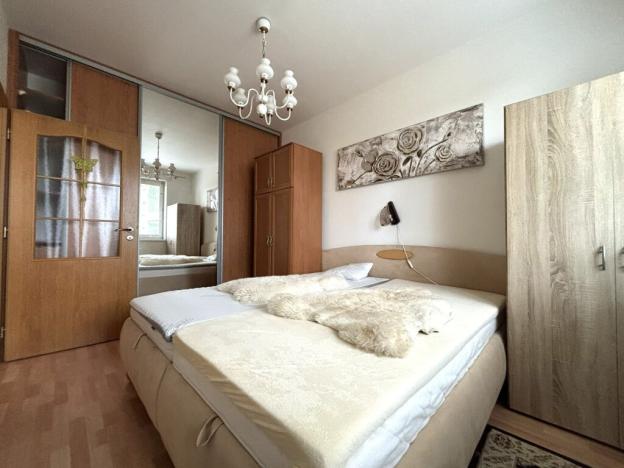 Pronájem bytu 2+kk, Plzeň, Goldscheiderova, 50 m2