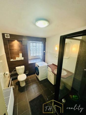 Prodej vícegeneračního domu, Třebušín, 750 m2