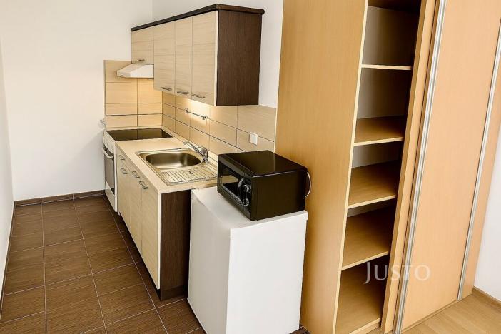 Prodej bytu 1+kk, Ústí nad Labem, Vinařská, 31 m2