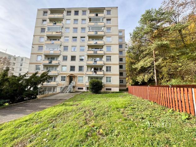 Prodej bytu 1+kk, Ústí nad Labem, Vinařská, 31 m2