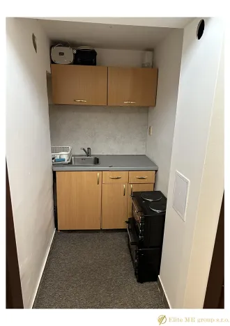 Prodej bytu 1+kk, Praha - Nusle, Doudlebská, 31 m2