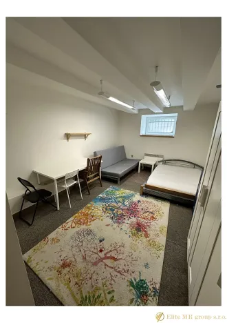 Prodej bytu 1+kk, Praha - Nusle, Doudlebská, 31 m2