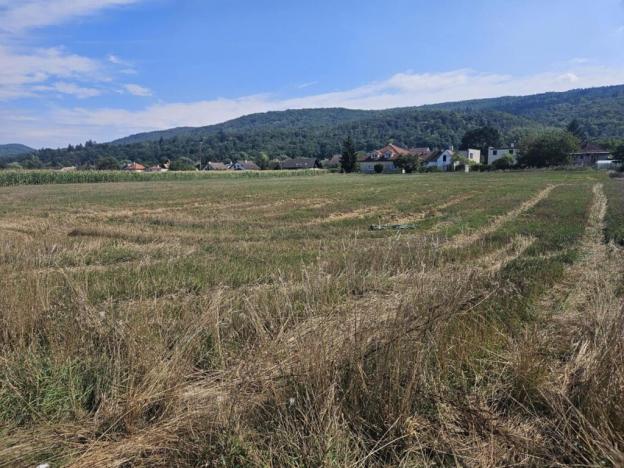 Prodej pozemku pro bydlení, Lety, Prostřední, 6873 m2