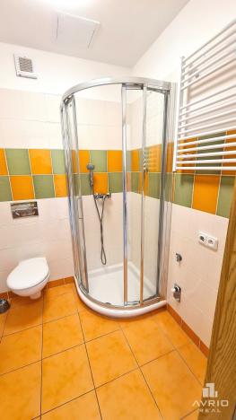 Prodej bytu 1+kk, Brno, Božetěchova, 24 m2