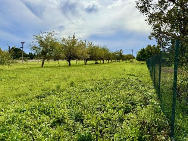 Prodej pozemku pro bydlení, Turovice, 1000 m2