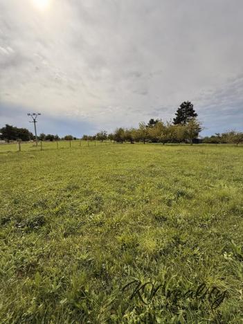 Prodej pozemku pro bydlení, Turovice, 1000 m2