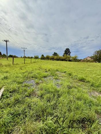 Prodej pozemku pro bydlení, Turovice, 1000 m2