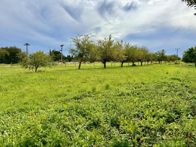 Prodej pozemku pro bydlení, Turovice, 1000 m2