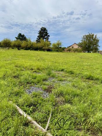 Prodej pozemku pro bydlení, Turovice, 1000 m2