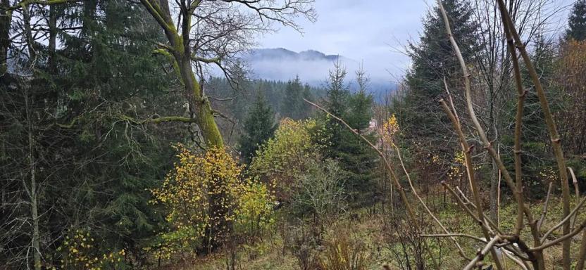 Prodej pozemku pro bydlení, Staré Hamry, 1212 m2