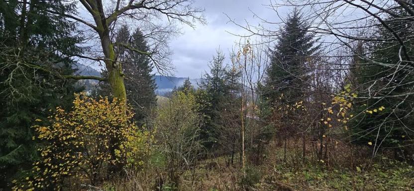 Prodej pozemku pro bydlení, Staré Hamry, 1212 m2