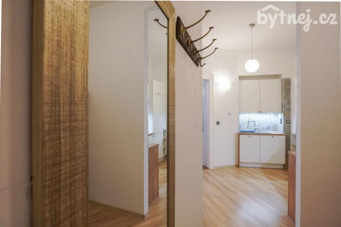 Pronájem bytu 2+1, Praha - Bubeneč, Puškinovo náměstí, 65 m2