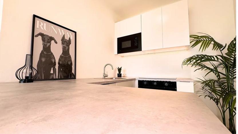 Prodej bytu 2+kk, Praha - Smíchov, Holečkova, 51 m2