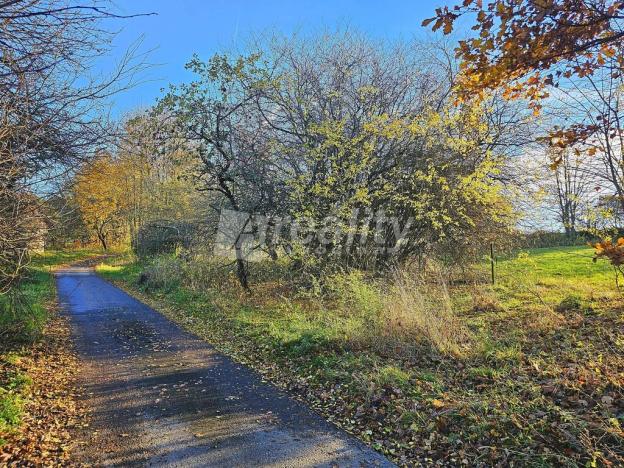 Prodej pozemku pro bydlení, Zbinohy, 1000 m2