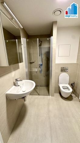 Pronájem bytu 1+kk, Plzeň, Pilařská, 42 m2