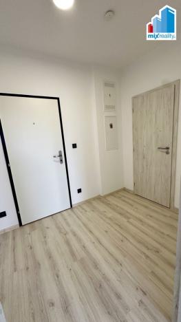 Pronájem bytu 1+kk, Plzeň, Pilařská, 42 m2