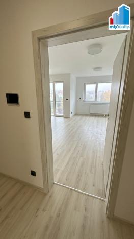 Pronájem bytu 1+kk, Plzeň, Pilařská, 42 m2