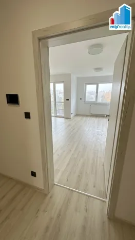 Pronájem bytu 1+kk, Plzeň, Pilařská, 42 m2