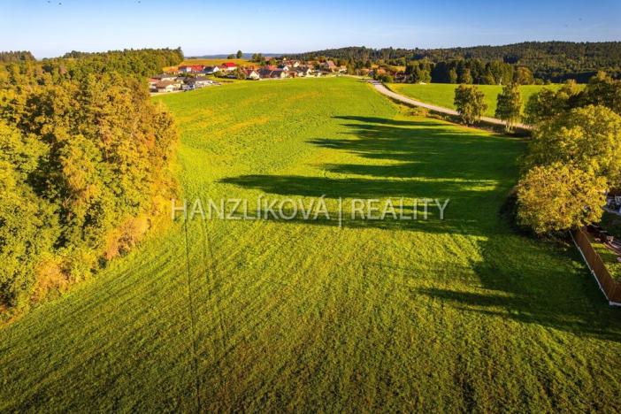 Prodej pozemku pro bydlení, Dubičné, 2000 m2