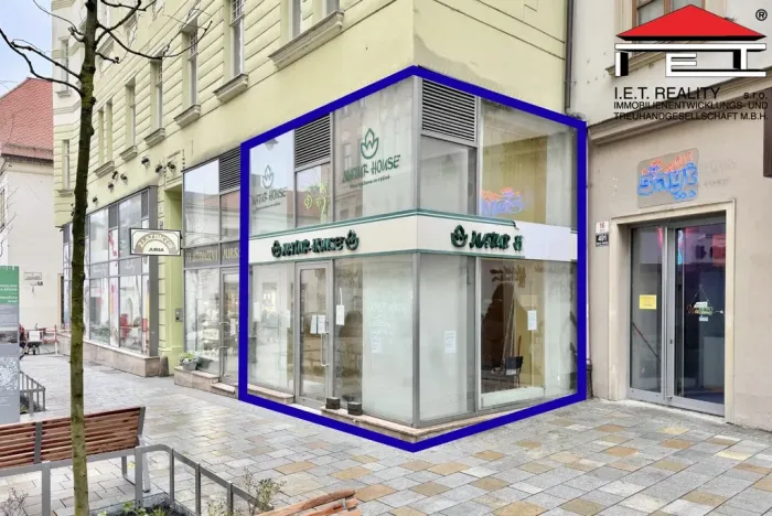 Pronájem obchodního prostoru, Brno, Orlí, 81 m2