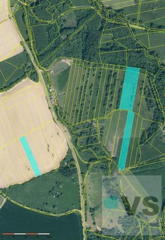 Prodej pozemku, Strážov, 32000 m2